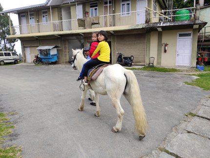 Horse riding at Dello