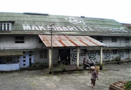 Makaibari Factory