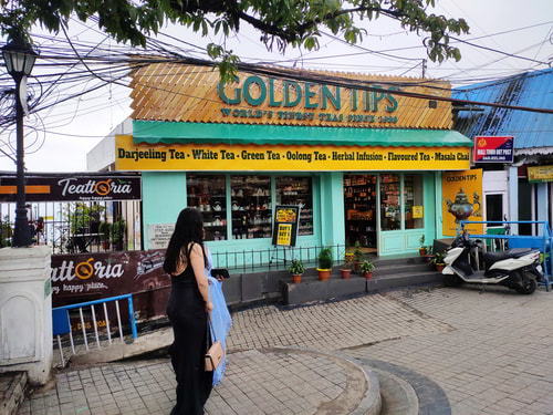 Golden Tips Teattoria Darjeeling