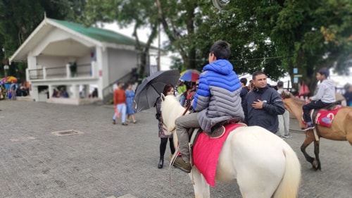Pony ride at Darjeeling Mall