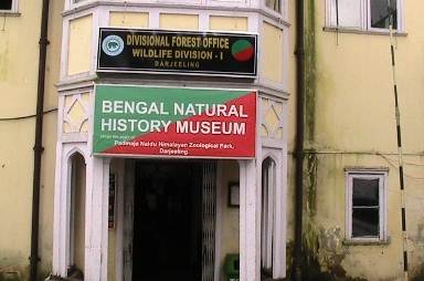 Bengal Natural History Museum