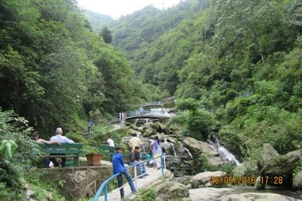 Rock Garden Darjeeling