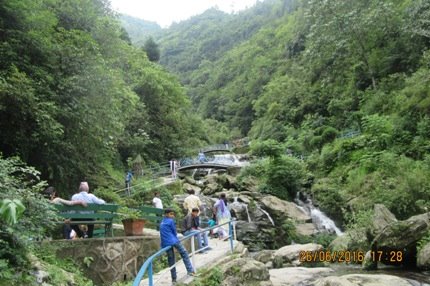 Rock Garden Darjeeling