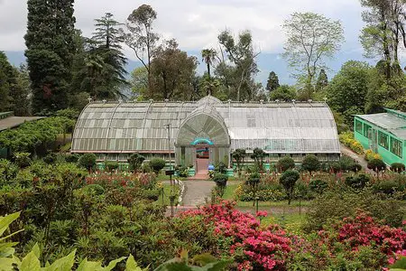 Botanical Garden Darjeeling