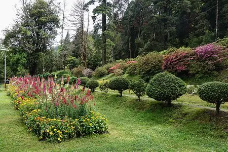 Botanical Garden Darjeeling