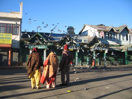 Pigeons at the Mall, Darjeeling