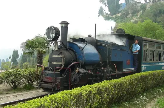 Toy Train Darjeeling