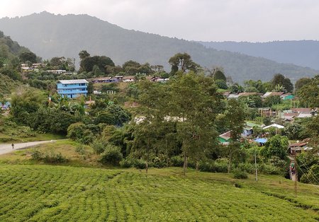 Nametadhura Village, Temi