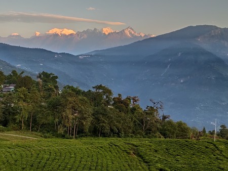 Kanchenjunga View from Temi