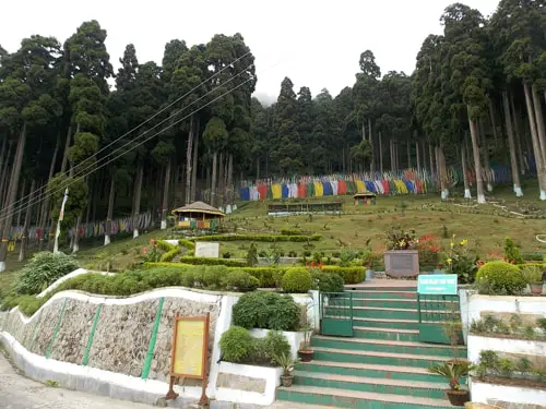 Lamahatta Roadside Garden