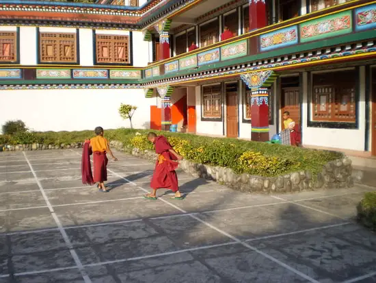 Young Lamas at Ranka Monastery