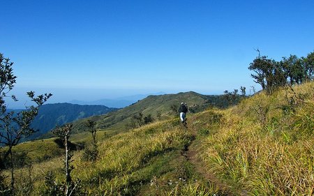 Singalila National Park Meadows