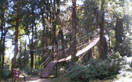 Canopy Walk Loleygaon