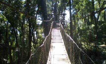 Canopy Walk Loleygaon