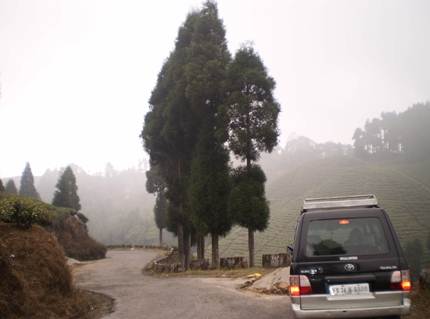 darjeeling tourism point