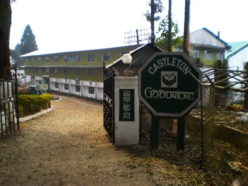 Castleton Tea Factory, Kurseong