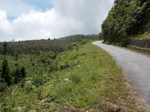 Road from Latpanchar