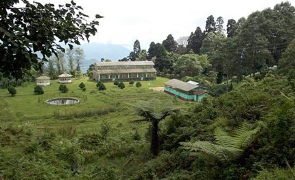 Orchid Center, Takdah