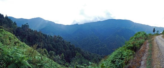 Neora Valley National Park