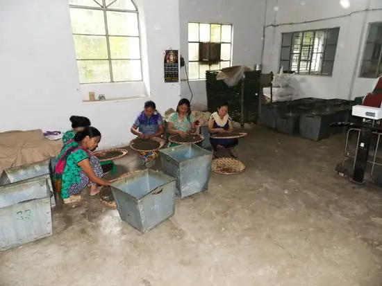 Ladies Hand-Sorting at Singtom