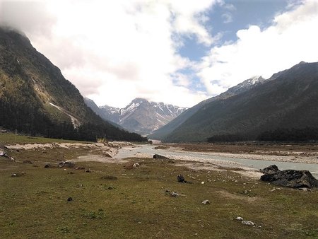 Yumthang Valley