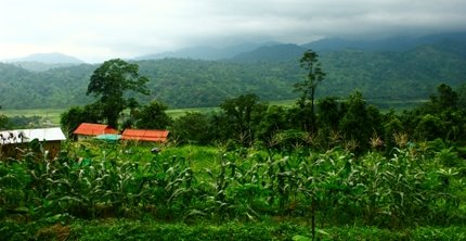 Petrichor Farm Gorubathan