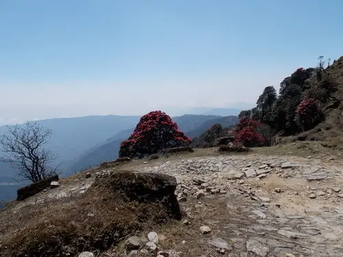 Meghma to Tonglu Road