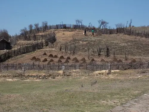 Farming at Tonglu