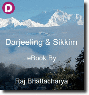 Ebook by Raj