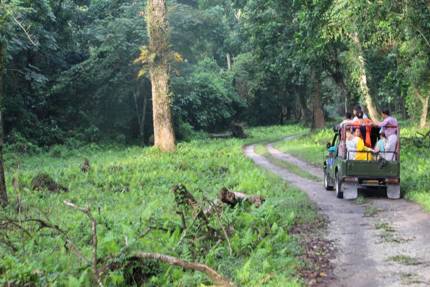 dooars elephant safari