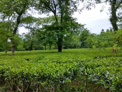 jhalong tourist spot