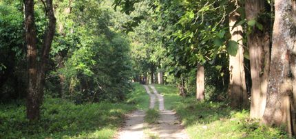 Gorumara National Park