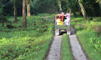 Jeep Safari at Gorumara