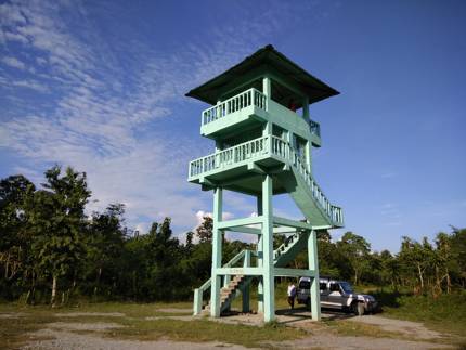 Chunia Watchtower, Buxa
