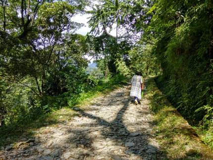 Trek route to Buxa Fort