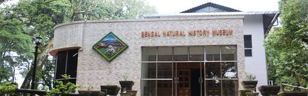 Bengal Natural History Museum