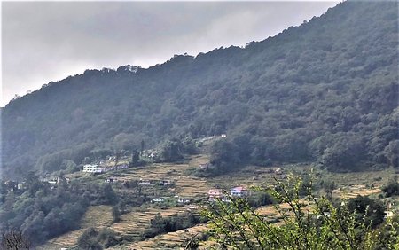 Step farming in Phodong