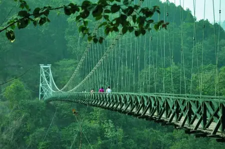 Suspensin Bridge Glenburn