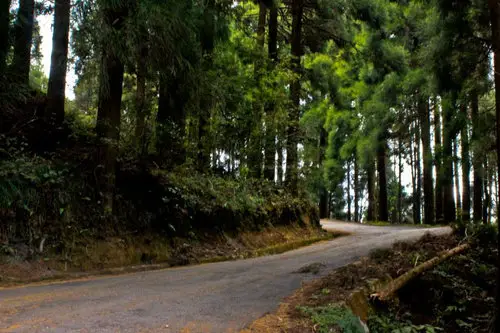 Palmajua, Darjeeling Hills