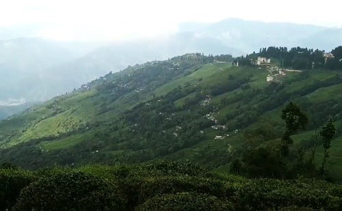 Lebong Tea Garden   Valley