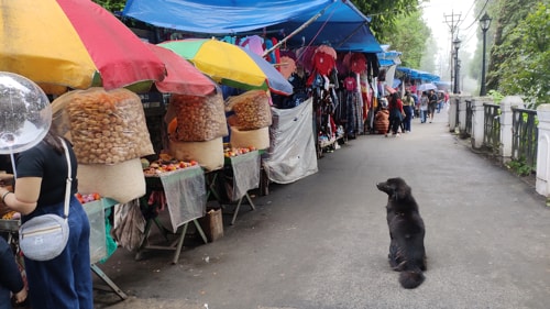 New Mahakal Market, Darjeeling