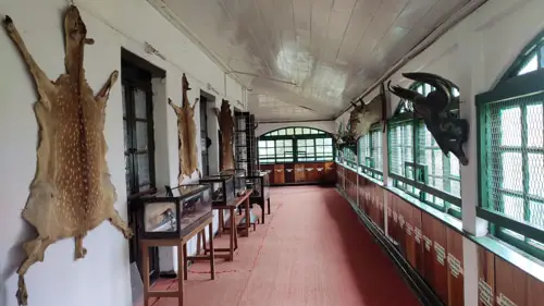 Dowhill Forest Museum, Kurseong