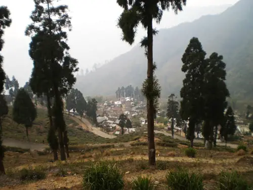 Castleton Tea Garden, Kurseong