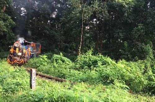 Toy Train Jungle Safari