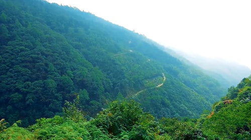Kalej Valley Darjeeling