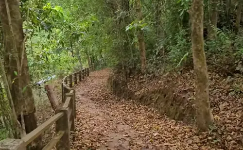 Walkway to Rainbow Falls