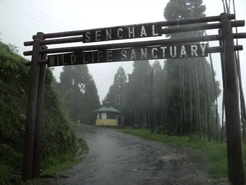 Senchal Wildlife Sanctuary